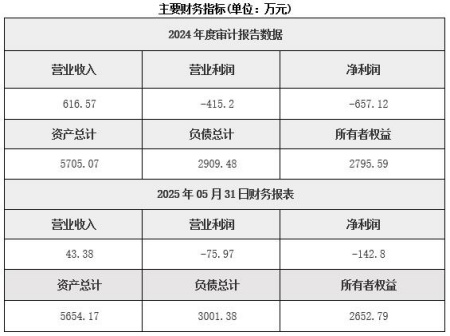 湖南有色金屬礦采選公司轉讓項目