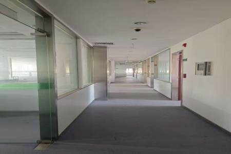 獨棟辦公樓|湖北武漢東湖高新區3400㎡獨棟辦公樓轉讓項目50QT-1035